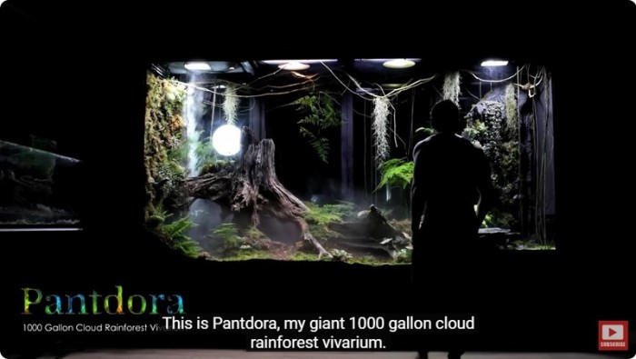 23bc2ae02a8bb623b2db3d7624881abb_1704433767_2535.jpg