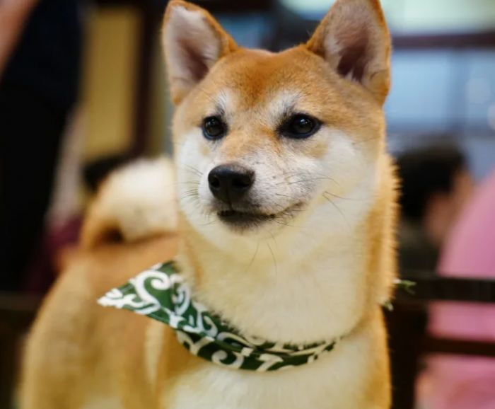 a709cba0e8ce446702c4a4a12a716358_1782353768_1075.png